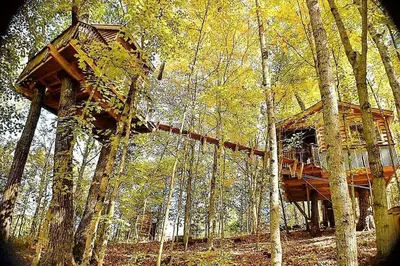 a tree house in the middle of the forest at Stunning Tree House Tucked Away Among the Trees near Germantown, Kentucky in Germantown