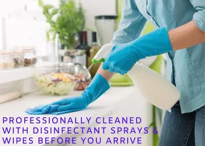a woman in a kitchen with a detergentacistacistacist at The City View Suite Garage Parking Top Floor! in Columbus