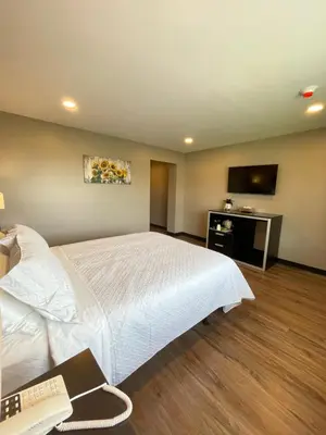 a bedroom with a bed and a desk with a computer at Four Seasons Inn in Gallipolis