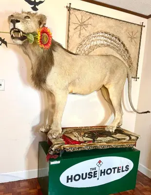 a statue of a lion on top of a box at Sleep with a LION! 3 bedroom, near Downtown, Tremont, Ohio city!! in Cleveland