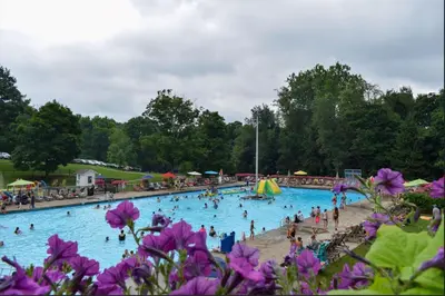 a large swimming pool with people in it with purple flowers at Oglebay Resort in Wheeling