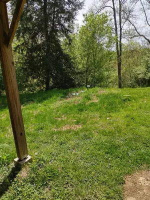 a field of green grass with a wooden pole at Country suite with bath and laundry in Athens