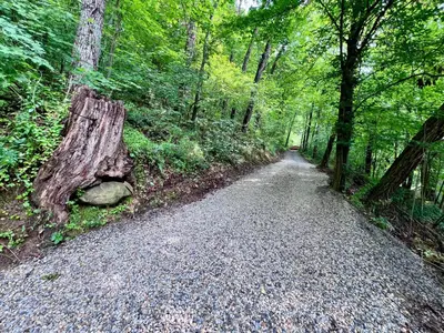 a gravel road in the middle of a forest at Burton Ridge Cabin in South Bloomingville