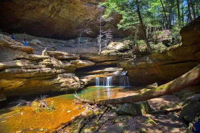 a creek with a waterfall in a forest at Mill Haus in South Bloomingville