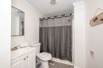 a bathroom with a toilet and a shower curtain at Stillwater Hollow - For 10! in Williamstown