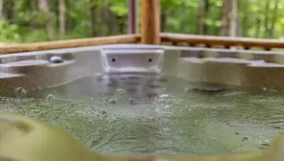 a bath tub filled with water with trees in the background at Trails End Cabin- Sauna, Arcade, Hot Tub, Firepit in Logan