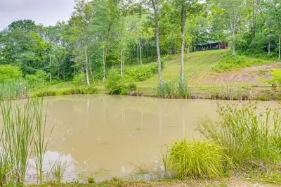 a pond in the middle of a field with trees at Pond and Fire Pit Charming Log Cabin near Blue Rock in Blue Rock