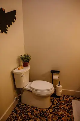a bathroom with a toilet with a potted plant on it at Native Legacy in Loudonville