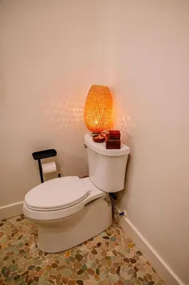 a bathroom with a toilet with a lamp on it at Lotus in Loudonville