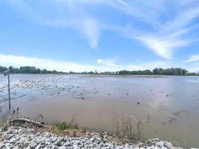 a large body of water with a lot of birds in it at Country Charm on the Sandusky Live Music Nearby in Fremont