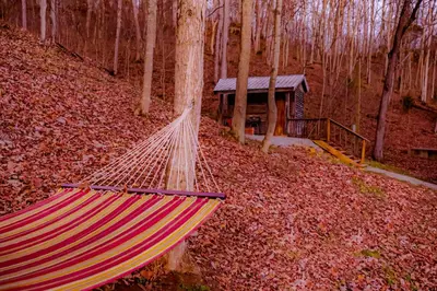 a hammock in the woods with a cabin in the background at Ohio Starlight Glamping Cabins - A Peaceful Woodland Retreat