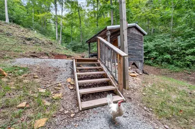a chicken standing next to a wooden cabin at Ohio Starlight Glamping Cabins - A Peaceful Woodland Retreat
