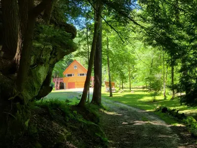 a house in the middle of a forest at A Birds Eye View Cabin Rentals in Logan