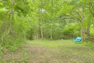a blue bench sitting in the middle of a forest at 4 Mi to Mohican River Ohio Amish Country Cottage in Walhonding