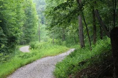 a gravel road in the middle of a forest at Diamond Creek | Sleeps up to 6 in Gallipolis
