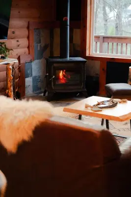 a fireplace in a living room with a stove at COZY Cabin with Hot Tub - Near all in Hocking Hills in Logan