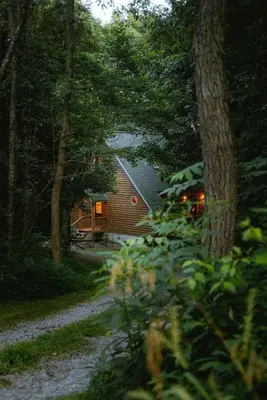 a log cabin in the middle of a forest at Cheerful Two Bdrm Cabin with Hot Tub & Pet Friendly in Rockbridge