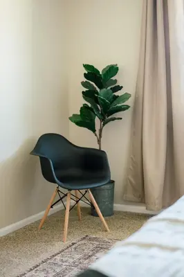 a black chair sitting next to a potted plant at The Estate on 68 AND Pet Friendly in Springfield