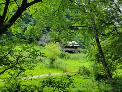 a house in the middle of a field with trees at Boons Camp Cabin