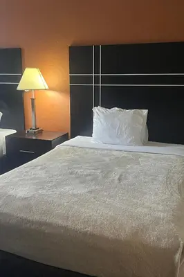 a large bed with a white pillow and a lamp at Hotel Inn Columbus in Columbus