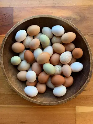 Gallery image of Farmhouse of Stoneycreek Acres on Our Family Farm