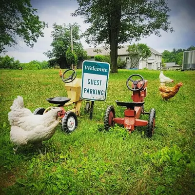Gallery image of Farmhouse of Stoneycreek Acres on Our Family Farm