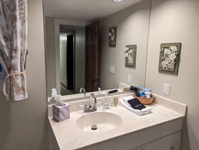 a bathroom with a sink and a mirror at The Lazy Cat Lodge in Lewis Center