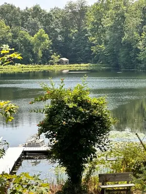 a tree in the middle of a lake with a dock at Whispering Pines Auburn in Auburn