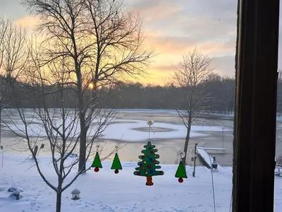 a christmas tree in the snow outside a window at Whispering Pines Auburn in Auburn