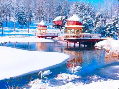 a snowy park with a bridge and birds in the water at Buddhas Little Cabin! 1 min from Palace of Gold in Moundsville