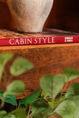 a book that says cabin style next to a plant at Outdoors Sleeps7 Family Getaway Fun Arcade in Rockbridge