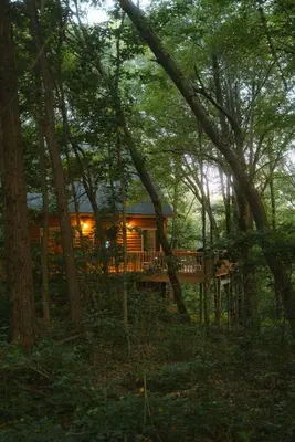 a log cabin in the middle of a forest at Cheerful Two Bdrm Cabin with Hot Tub & Pet Friendly in Lancaster
