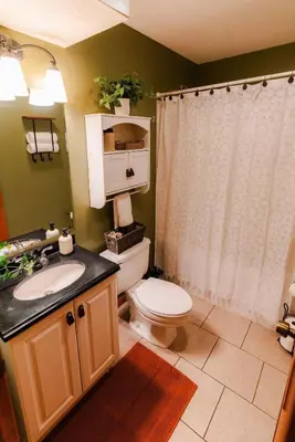 a bathroom with a toilet and a sink and a shower at Cheerful Two Bdrm Cabin with Hot Tub & Pet Friendly in Lancaster