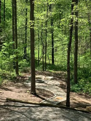 a path in the middle of a forest with trees at Fern Hill Cabin in McArthur