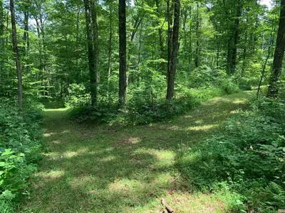a dirt trail in the woods with trees at Fern Hill Cabin in McArthur