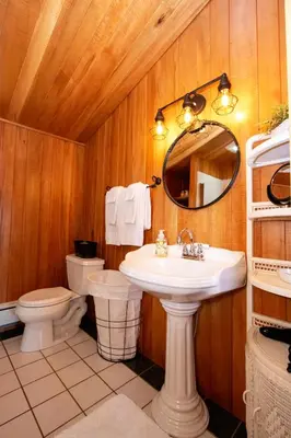 a bathroom with a sink and a toilet and a mirror at Honey Bear Cabin in Millersburg