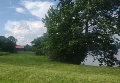 a tree in a field next to a body of water at Fisherman’s Dream in McArthur