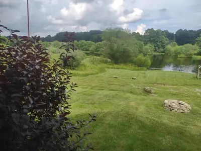 a grassy field next to a river with a body of water at Fisherman’s Dream in McArthur