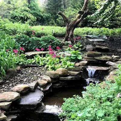 Old Orchard