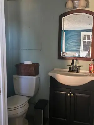 a bathroom with a toilet and a sink and a mirror at La Casa delle Pesche in Georgetown
