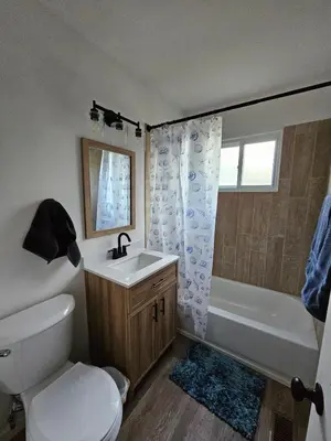 a bathroom with a toilet and a sink and a tub at Cozy 3BR Cottage Near Headlands in Mentor
