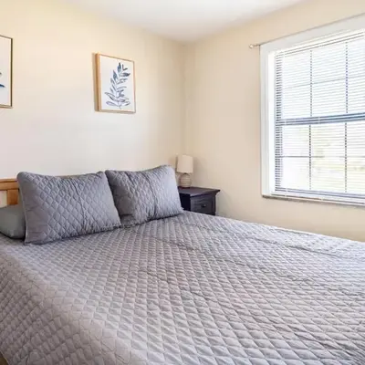 Pet-Friendly Serenity Spot on Dorthy Lane