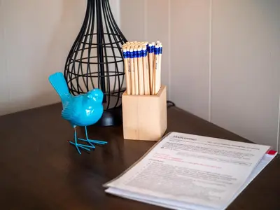 a table with a blue bird and a box of matches at 3584 Blanche Ave in Cleveland Heights
