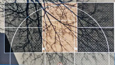 a collage of images of a tennis ball and trees at The Luxe/Pickleball/Basketball/ Hot Tub/Horse Park in Georgetown
