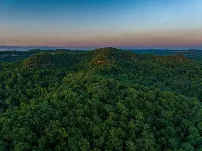 an aerial view of a green forest at sunset at Furnished Glamping Tent/Red River Access/King Bed in Stanton