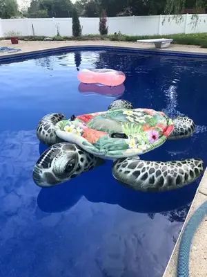 two inflatablelatable turtles sitting in a swimming pool at Cozy Meets Luxury in Tylersville