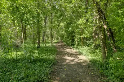 a dirt trail through a forest with trees at 1 Block to Loveland Bike Trail The Frog Man Inn in Loveland