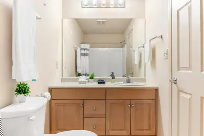 a bathroom with a sink and a toilet and a mirror at Downtown Gym Sauna Parking Pet Friendly in Cleveland