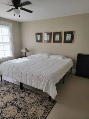a bedroom with a bed and a ceiling fan at 1895 meets 2025 Townhouse in Hamilton
