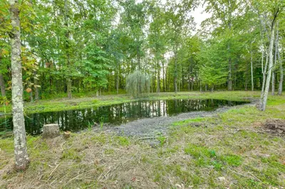 a small pond in the middle of a forest at Large Yard with Pond Family Retreat in New Albany! in New Albany